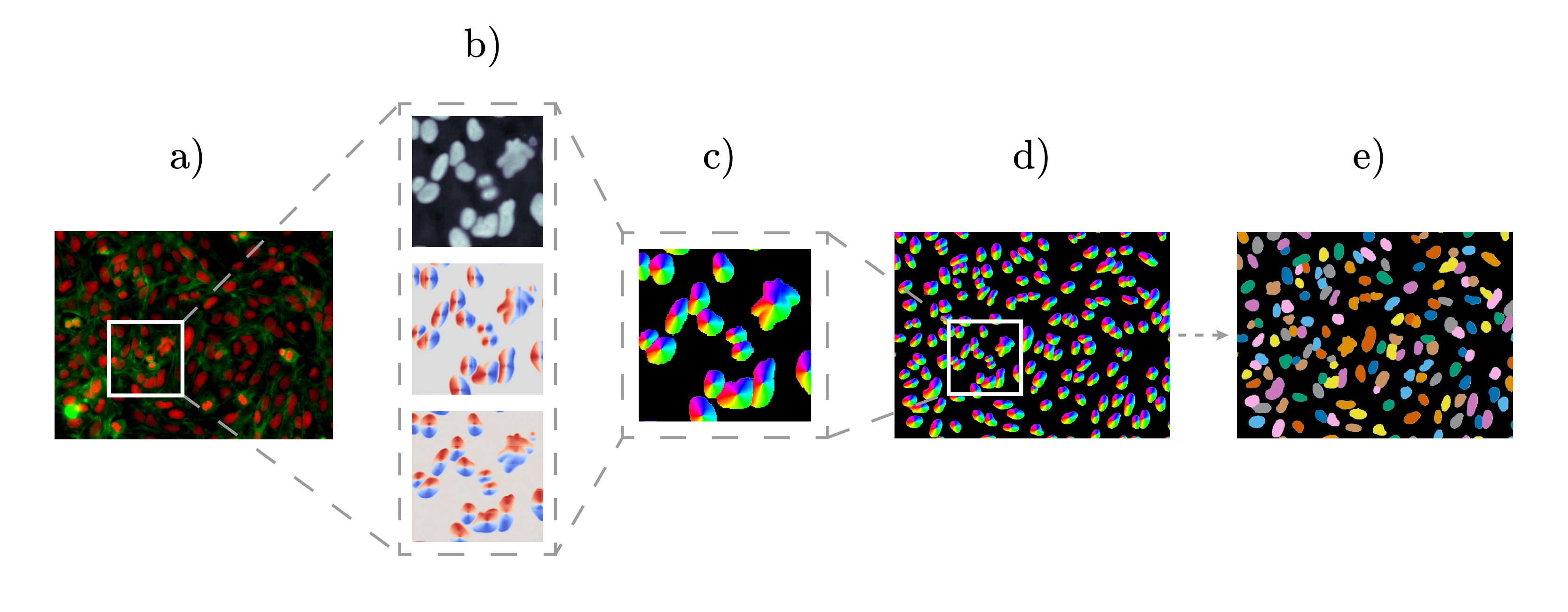 CellTranspose prediction process
